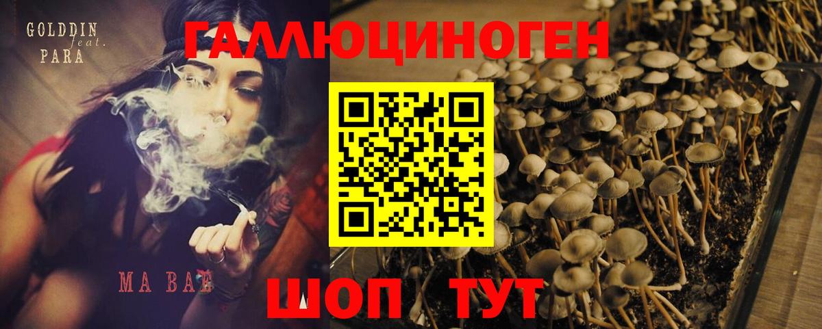 Псилоцибиновые грибы MAGIC MUSHROOMS  Галлюциногенные грибы Magic Shrooms  Горно-Алтайск  Вход с VPN 